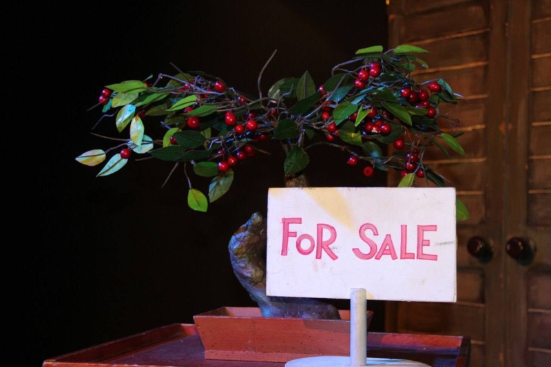 Международный фестиваль театров кукол «Маленький принц» Театр Кукол Огниво Мытищи