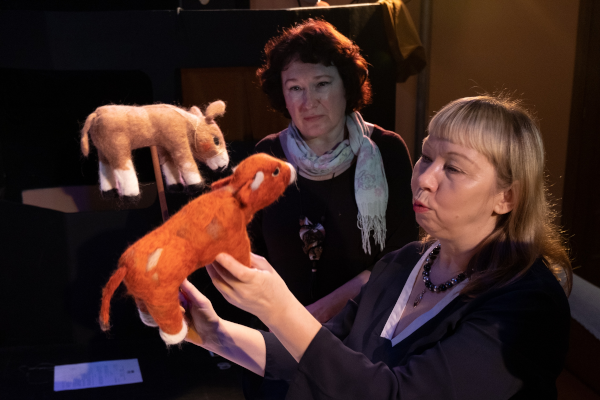  Театр Кукол Огниво Мытищи