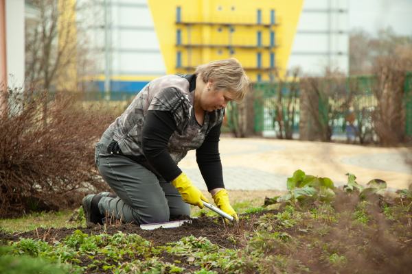  Театр Кукол Огниво Мытищи